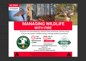 Cover photo for Managing Wildlife With Fire: Information Session